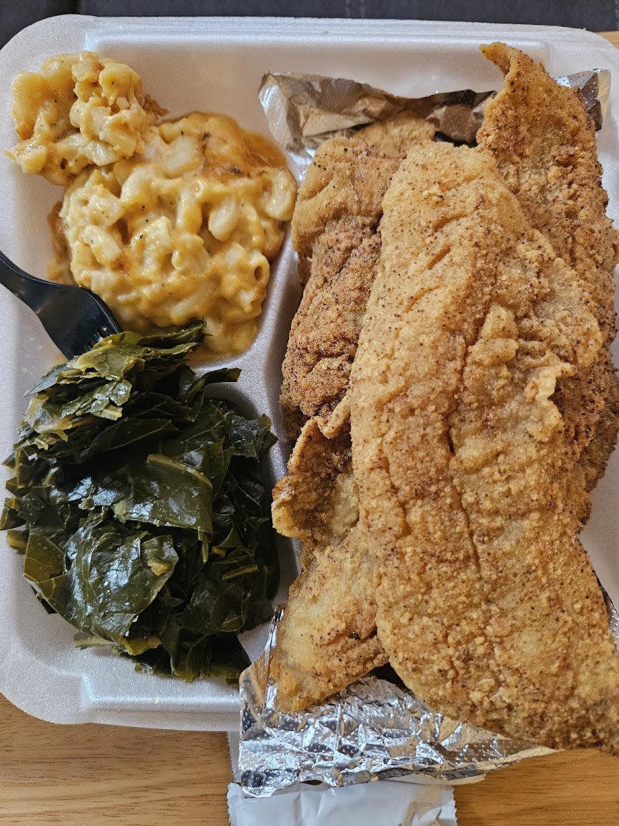 First Impression Photos 2